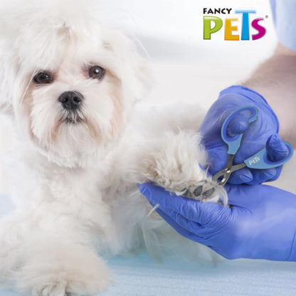 Persona usando guantes azules utilizando la tijera cortauñas Fancy Pets en las patas de un perro blanco pequeño para un corte preciso y seguro.