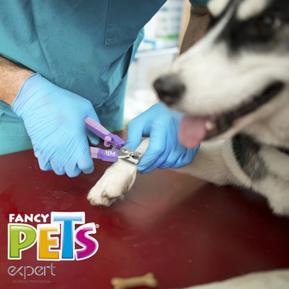 persona cortando la uña a un husky usando el cortauñas expert con facilidad 